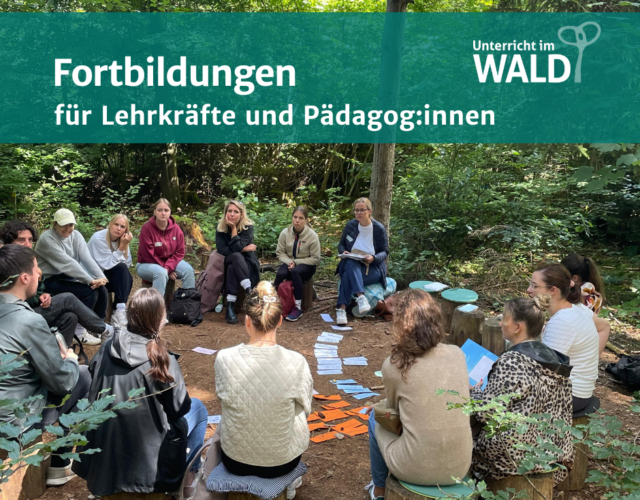 Erwachsene sitzen auf einer Waldlichtung im Kreis und besprechen zuvor erarbeitet Informationen