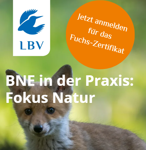 Werbeplakat - junger Fuchs - im Hintergrund undeutliche grüne Wiese - Logo des Vereins und Hinweise zur Veranstaltung